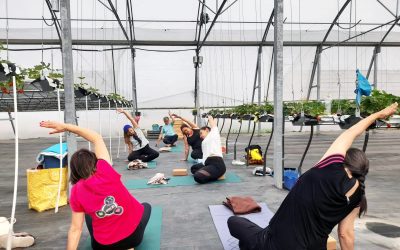 yoga-evento
