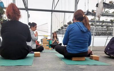 yoga-galeria